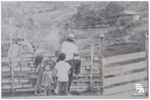 1980 cobertura del servicio en zona rural. Los años 80” fueron productivos en el incremento de la cobertura del servicio y en la participación de Electrohuila en el estudio de alternativas para el desarrollo de la generación de energía aprovechando el potencial de los ríos Magdalena, Páez y La Plata.