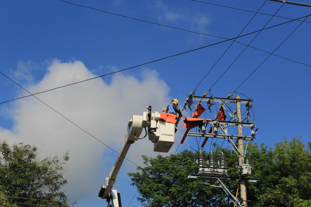 Comunicado de Prensa